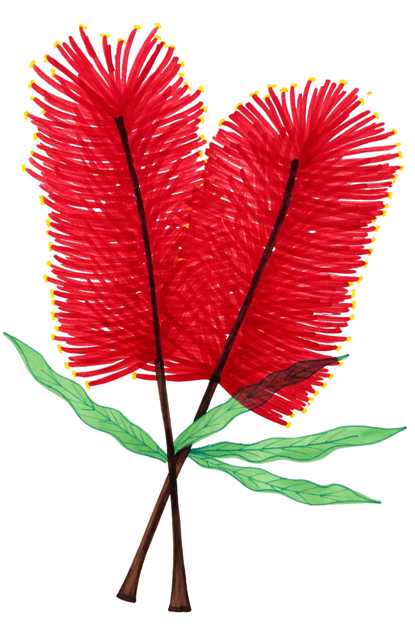 Youth Bottle brush